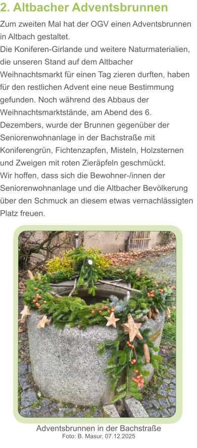 2. Altbacher Adventsbrunnen Zum zweiten Mal hat der OGV einen Adventsbrunnen in Altbach gestaltet. Die Koniferen-Girlande und weitere Naturmaterialien, die unseren Stand auf dem Altbacher Weihnachtsmarkt für einen Tag zieren durften, haben für den restlichen Advent eine neue Bestimmung gefunden. Noch während des Abbaus der Weihnachtsmarktstände, am Abend des 6. Dezembers, wurde der Brunnen gegenüber der Seniorenwohnanlage in der Bachstraße mit Koniferengrün, Fichtenzapfen, Misteln, Holzsternen und Zweigen mit roten Zieräpfeln geschmückt. Wir hoffen, dass sich die Bewohner-/innen der Seniorenwohnanlage und die Altbacher Bevölkerung über den Schmuck an diesem etwas vernachlässigten Platz freuen.     Adventsbrunnen in der Bachstraße Foto: B. Masur, 07.12.2025