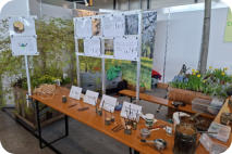 Foto: A. Eytner, 11.04.2026 