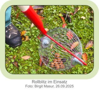 Rollblitz im Einsatz Foto: Birgit Masur, 26.09.2025