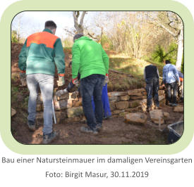 Bau einer Natursteinmauer im damaligen Vereinsgarten Foto: Birgit Masur, 30.11.2019