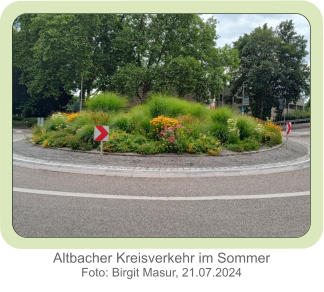 Altbacher Kreisverkehr im Sommer Foto: Birgit Masur, 21.07.2024