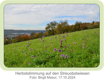 Herbststimmung auf den Streuobstwiesen Foto: Birgit Masur, 17.10.2024