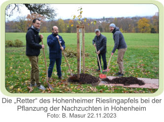 Die „Retter“ des Hohenheimer Rieslingapfels bei der Pflanzung der Nachzuchten in Hohenheim Foto: B. Masur 22.11.2023