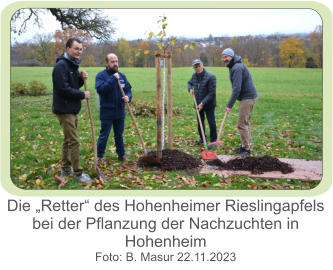 Die „Retter“ des Hohenheimer Rieslingapfels bei der Pflanzung der Nachzuchten in Hohenheim Foto: B. Masur 22.11.2023