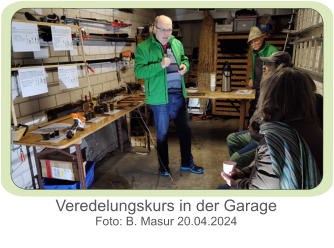 Veredelungskurs in der Garage Foto: B. Masur 20.04.2024