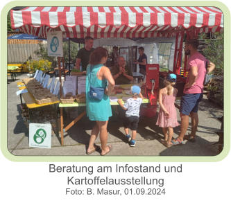 Beratung am Infostand und Kartoffelausstellung Foto: B. Masur, 01.09.2024