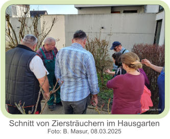 Schnitt von Ziersträuchern im Hausgarten  Foto: B. Masur, 08.03.2025