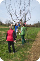 Foto: B. Masur, 28.02.2026