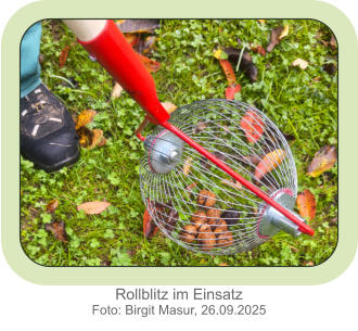 Rollblitz im Einsatz Foto: Birgit Masur, 26.09.2025