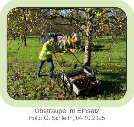 Obstraupe im Einsatz Foto: G. Schleith, 04.10.2025