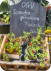 Foto: B. Masur, 10.05.2026