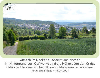 Altbach im Neckartal, Ansicht aus Norden Im Hintergrund des Kraftwerks sind die Höhenzüge der für das Filderkraut bekannten, fruchtbaren Filderebene  zu erkennen. Foto: Birgit Masur, 13.06.2024