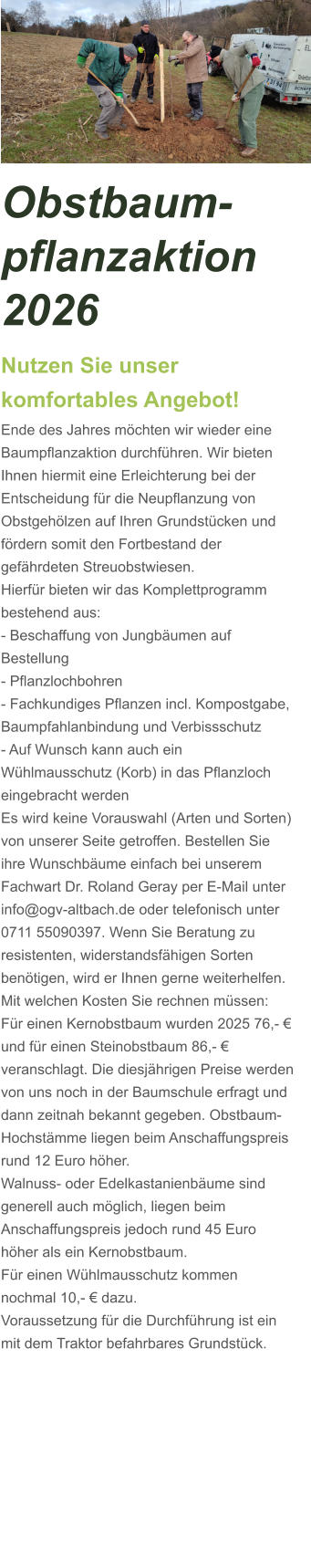 Obstbaum-pflanzaktion 2026 Nutzen Sie unser komfortables Angebot! Ende des Jahres möchten wir wieder eine Baumpflanzaktion durchführen. Wir bieten Ihnen hiermit eine Erleichterung bei der Entscheidung für die Neupflanzung von Obstgehölzen auf Ihren Grundstücken und fördern somit den Fortbestand der gefährdeten Streuobstwiesen.  Hierfür bieten wir das Komplettprogramm bestehend aus: - Beschaffung von Jungbäumen auf Bestellung - Pflanzlochbohren - Fachkundiges Pflanzen incl. Kompostgabe, Baumpfahlanbindung und Verbissschutz - Auf Wunsch kann auch ein Wühlmausschutz (Korb) in das Pflanzloch eingebracht werden Es wird keine Vorauswahl (Arten und Sorten) von unserer Seite getroffen. Bestellen Sie ihre Wunschbäume einfach bei unserem Fachwart Dr. Roland Geray per E-Mail unter info@ogv-altbach.de oder telefonisch unter 0711 55090397. Wenn Sie Beratung zu resistenten, widerstandsfähigen Sorten benötigen, wird er Ihnen gerne weiterhelfen. Mit welchen Kosten Sie rechnen müssen: Für einen Kernobstbaum wurden 2025 76,- € und für einen Steinobstbaum 86,- € veranschlagt. Die diesjährigen Preise werden von uns noch in der Baumschule erfragt und dann zeitnah bekannt gegeben. Obstbaum-Hochstämme liegen beim Anschaffungspreis rund 12 Euro höher. Walnuss- oder Edelkastanienbäume sind generell auch möglich, liegen beim Anschaffungspreis jedoch rund 45 Euro höher als ein Kernobstbaum.  Für einen Wühlmausschutz kommen nochmal 10,- € dazu. Voraussetzung für die Durchführung ist ein mit dem Traktor befahrbares Grundstück.