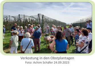 Verkostung in den Obstplantagen Foto: Achim Schäfer 24.09.2023