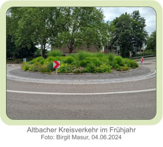 Altbacher Kreisverkehr im Frühjahr Foto: Birgit Masur, 04.06.2024