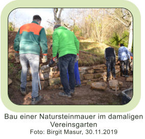 Bau einer Natursteinmauer im damaligen Vereinsgarten Foto: Birgit Masur, 30.11.2019