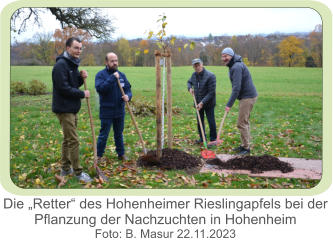 Die „Retter“ des Hohenheimer Rieslingapfels bei der Pflanzung der Nachzuchten in Hohenheim Foto: B. Masur 22.11.2023