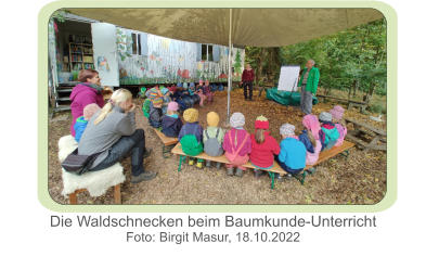 Die Waldschnecken beim Baumkunde-Unterricht Foto: Birgit Masur, 18.10.2022