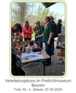 Veredelungskurs im Freilichtmuseum Beuren  Foto: M.- L. Glaser, 07.04.2024