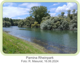 Pamina Rheinpark Foto: R. Masurat, 16.06.2024
