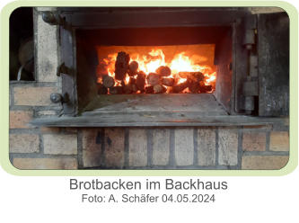 Brotbacken im Backhaus Foto: A. Schäfer 04.05.2024