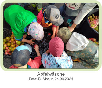 Apfelwäsche  Foto: B. Masur, 24.09.2024