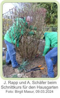 J. Rapp und A. Schäfer beim Schnittkurs für den Hausgarten  Foto: Birgit Masur, 09.03.2024