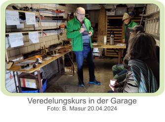 Veredelungskurs in der Garage Foto: B. Masur 20.04.2024