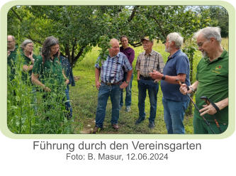 Führung durch den Vereinsgarten Foto: B. Masur, 12.06.2024