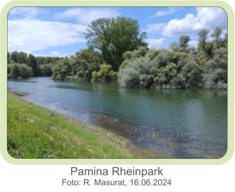 Pamina Rheinpark Foto: R. Masurat, 16.06.2024