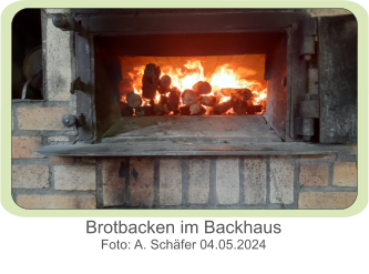 Brotbacken im Backhaus Foto: A. Schäfer 04.05.2024