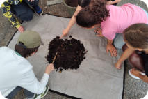 Foto: R. Brenkel, 08.05.2025 