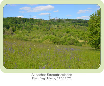 Altbacher Streuobstwiesen Foto: Birgit Masur, 12.05.2025