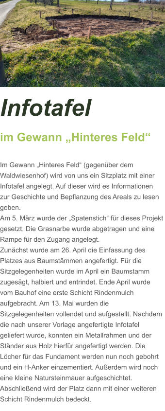 Infotafel  im Gewann „Hinteres Feld“  Im Gewann „Hinteres Feld“ (gegenüber dem Waldwiesenhof) wird von uns ein Sitzplatz mit einer Infotafel angelegt. Auf dieser wird es Informationen zur Geschichte und Bepflanzung des Areals zu lesen geben. Am 5. März wurde der „Spatenstich“ für dieses Projekt gesetzt. Die Grasnarbe wurde abgetragen und eine Rampe für den Zugang angelegt.  Zunächst wurde am 26. April die Einfassung des Platzes aus Baumstämmen angefertigt. Für die Sitzgelegenheiten wurde im April ein Baumstamm zugesägt, halbiert und entrindet. Ende April wurde vom Bauhof eine erste Schicht Rindenmulch aufgebracht. Am 13. Mai wurden die Sitzgelegenheiten vollendet und aufgestellt. Nachdem die nach unserer Vorlage angefertigte Infotafel geliefert wurde, konnten ein Metallrahmen und der Ständer aus Holz hierfür angefertigt werden. Die Löcher für das Fundament werden nun noch gebohrt und ein H-Anker einzementiert. Außerdem wird noch eine kleine Natursteinmauer aufgeschichtet. Abschließend wird der Platz dann mit einer weiteren Schicht Rindenmulch bedeckt.