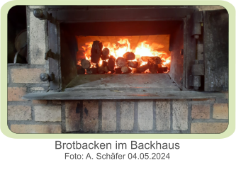 Brotbacken im Backhaus Foto: A. Schäfer 04.05.2024