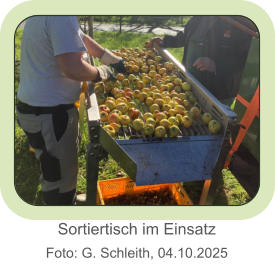 Sortiertisch im EinsatzFoto: G. Schleith, 04.10.2025